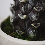 Tronco Agave Artificial MAIA SHOP