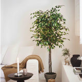 Ficus Artificial 180 cm