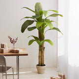 Platanera Artificial 180 cm