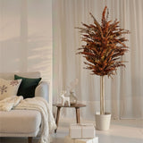 Árbol Eucalipto Preservado Baby