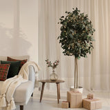 Árvore de Eucalipto Preservada Round