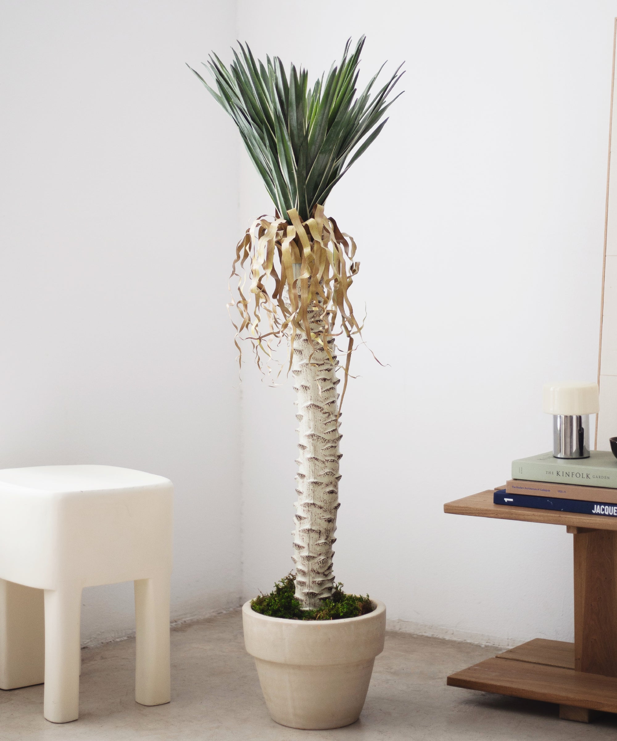 Yuca Artificial 130 MAIA SHOP