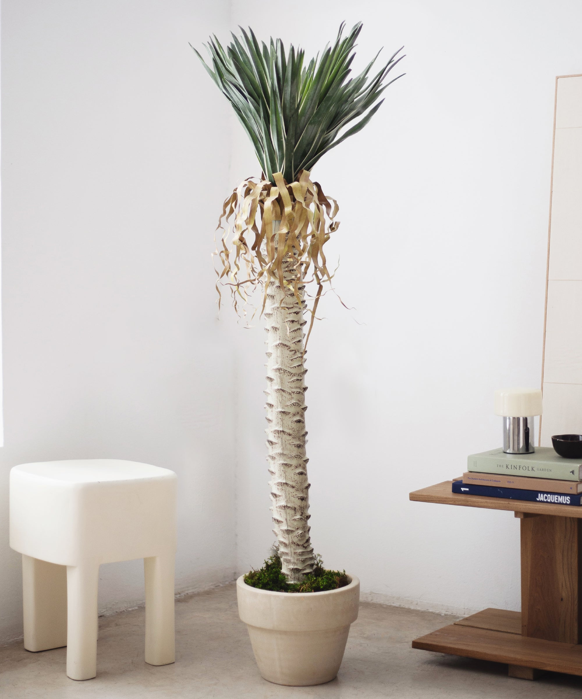 Yuca Artificial 180 MAIA SHOP 
