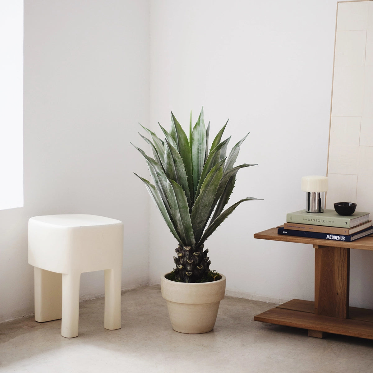 agave artificial