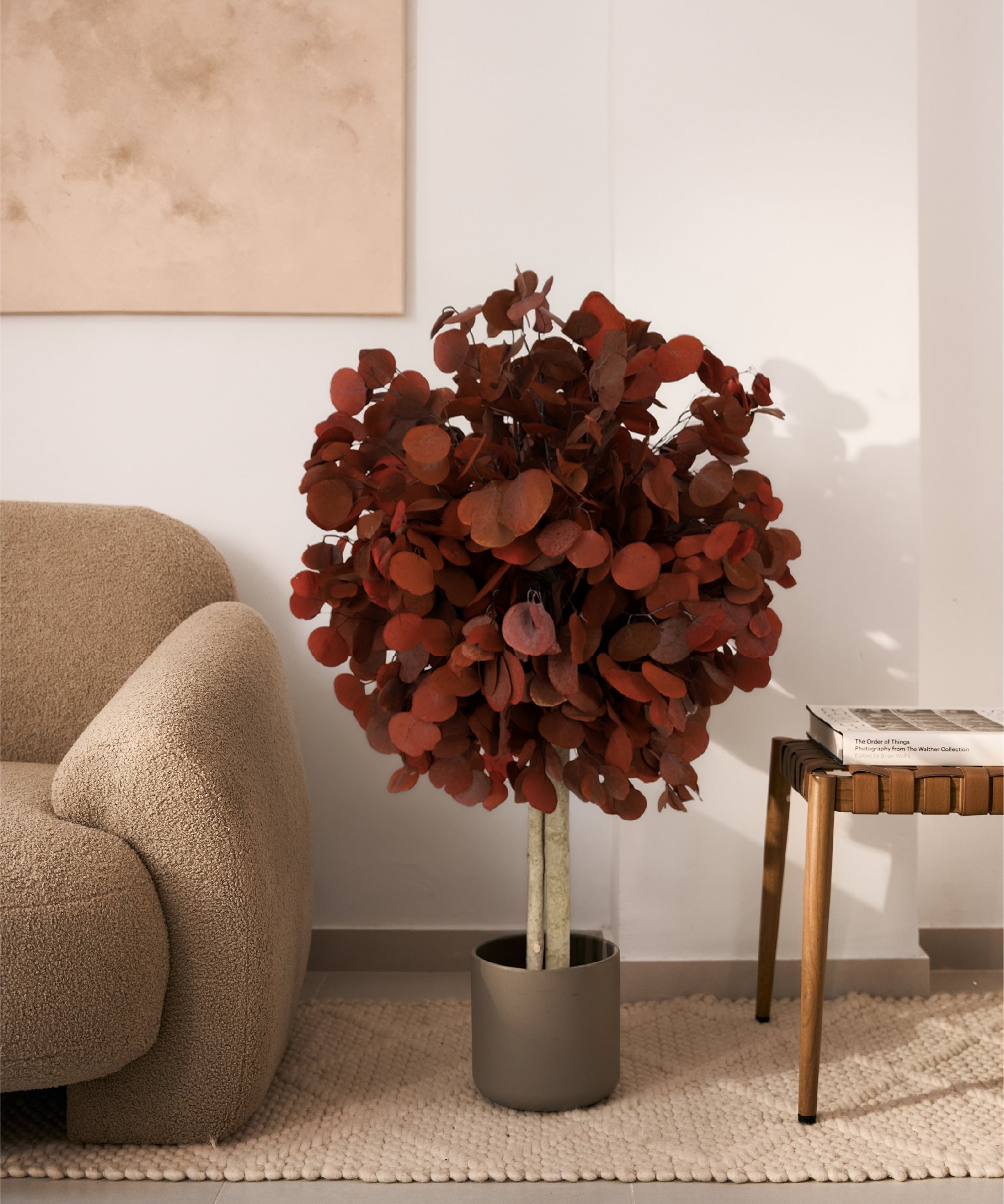 arbol eucalipto preservado round 100 Rojo MAIA SHOP