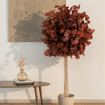 arbol eucalipto preservado round 150 Rojo MAIA SHOP