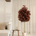arbol eucalipto preservado round 180 Rojo