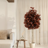 arbol eucalipto preservado round 180 Rojo