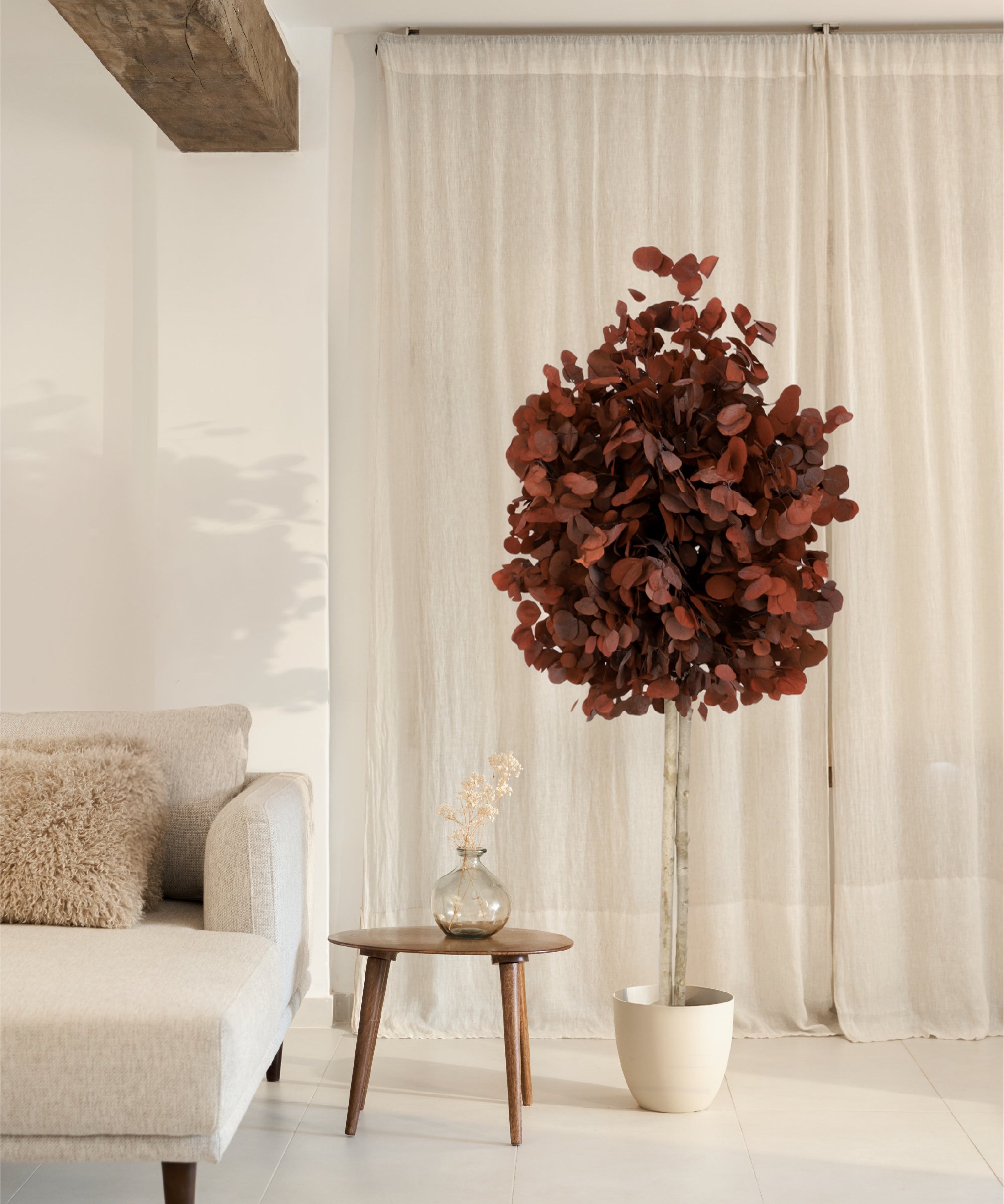 arbol eucalipto preservado round 180 Rojo