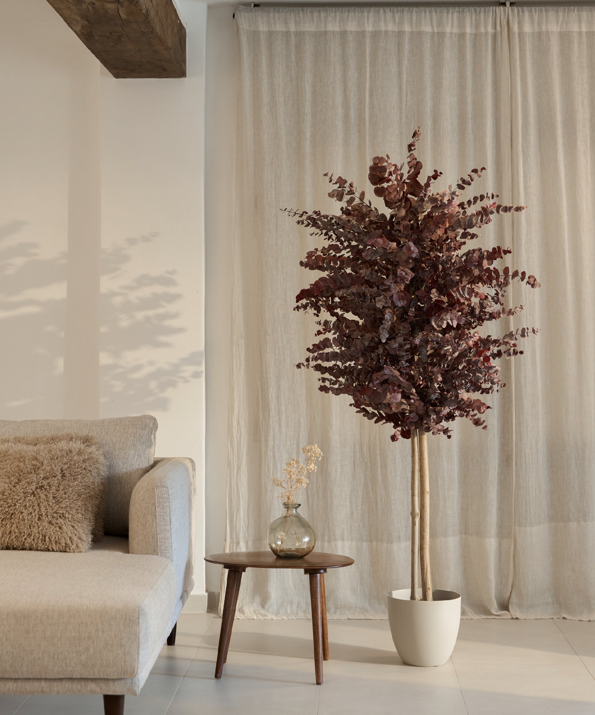 arbol preservado eucalipto essential burdeos
