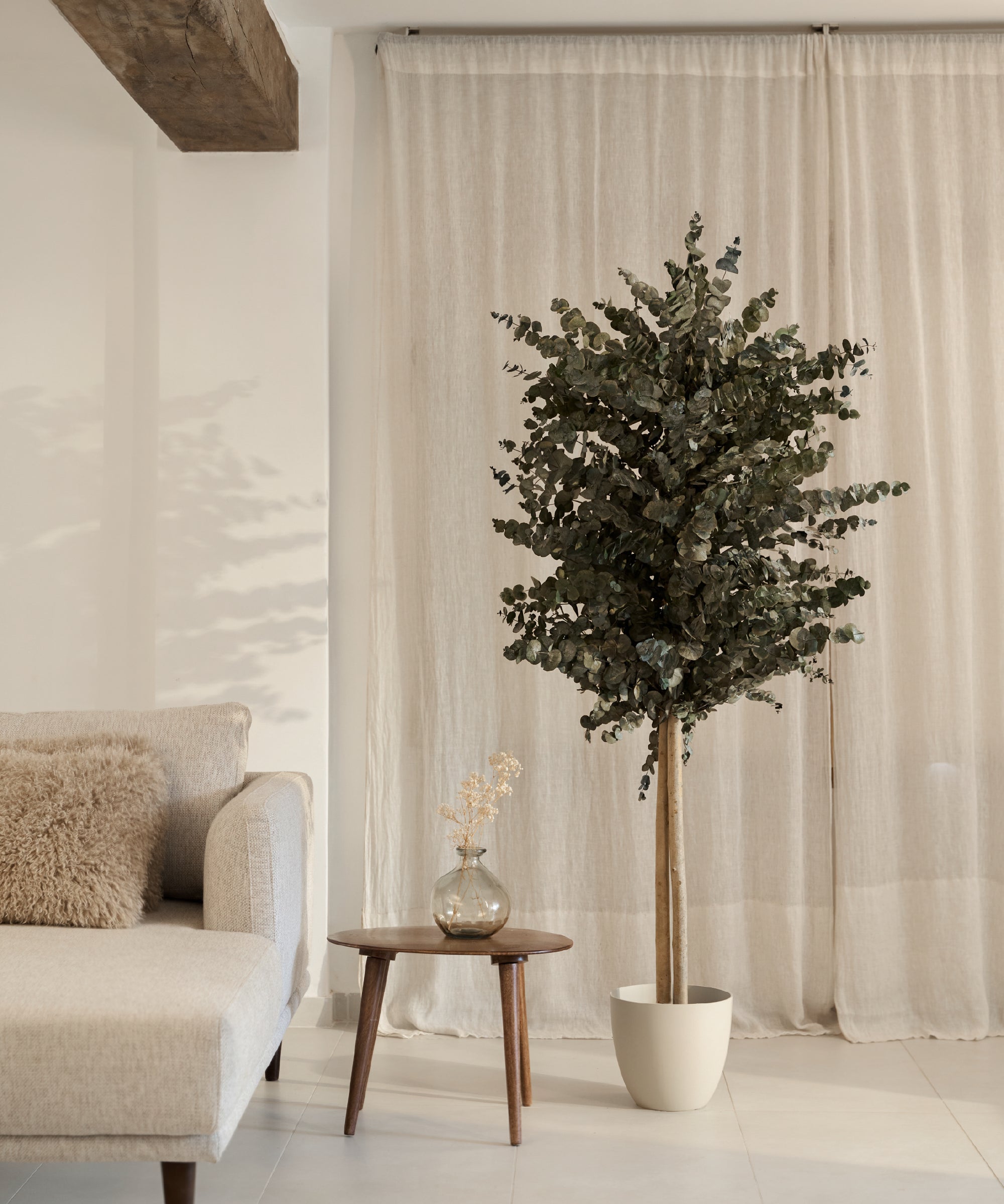arbol preservado eucalipto verde