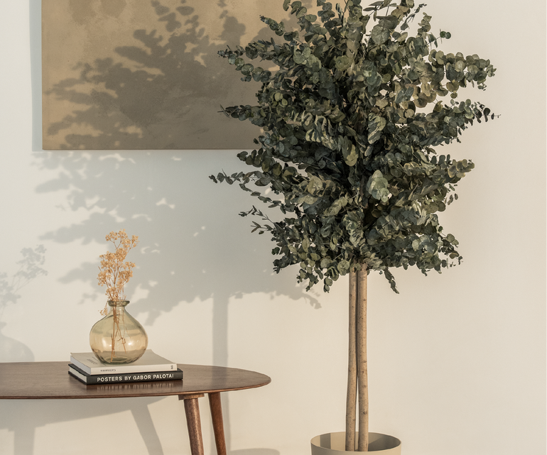 arbol preservado eucalipto verde 150