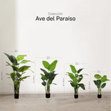 Ave del Paraíso Artificial