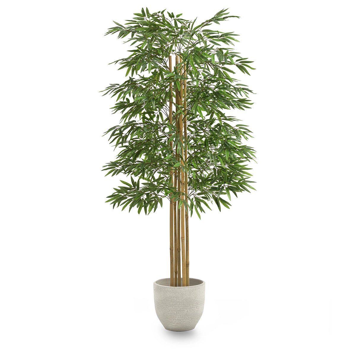 bambu 180 maia shop 