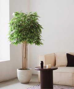bambu artificial grande