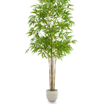 bambu artificial minimal 210 maia shop
