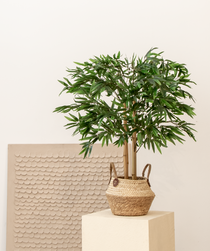 bambu artificial pequeño