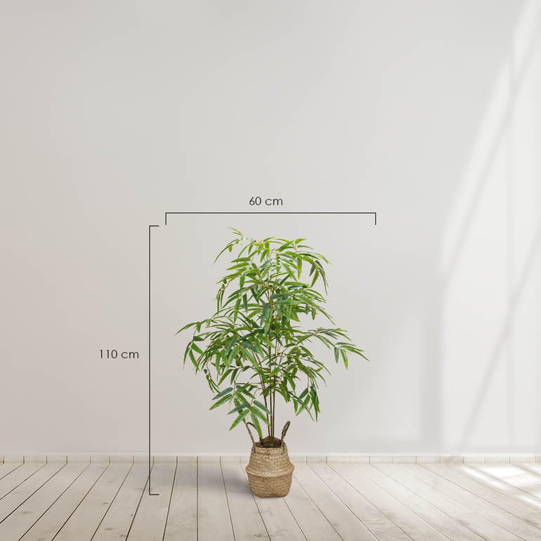 bambu minimal 110 medidas