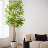 bambu artificial minimal 210