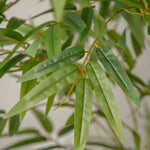 detalle hojas bambu artificial minimal