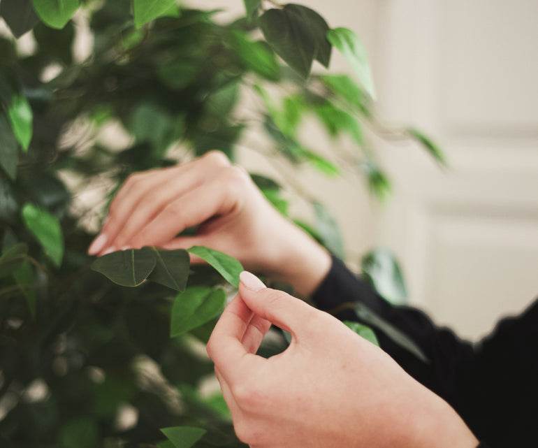 detalle hojas ficus artificial