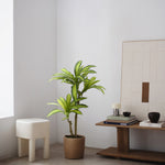dracena artificial pequeña decoracion
