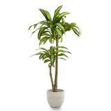 dracena artificial 105 maia shop