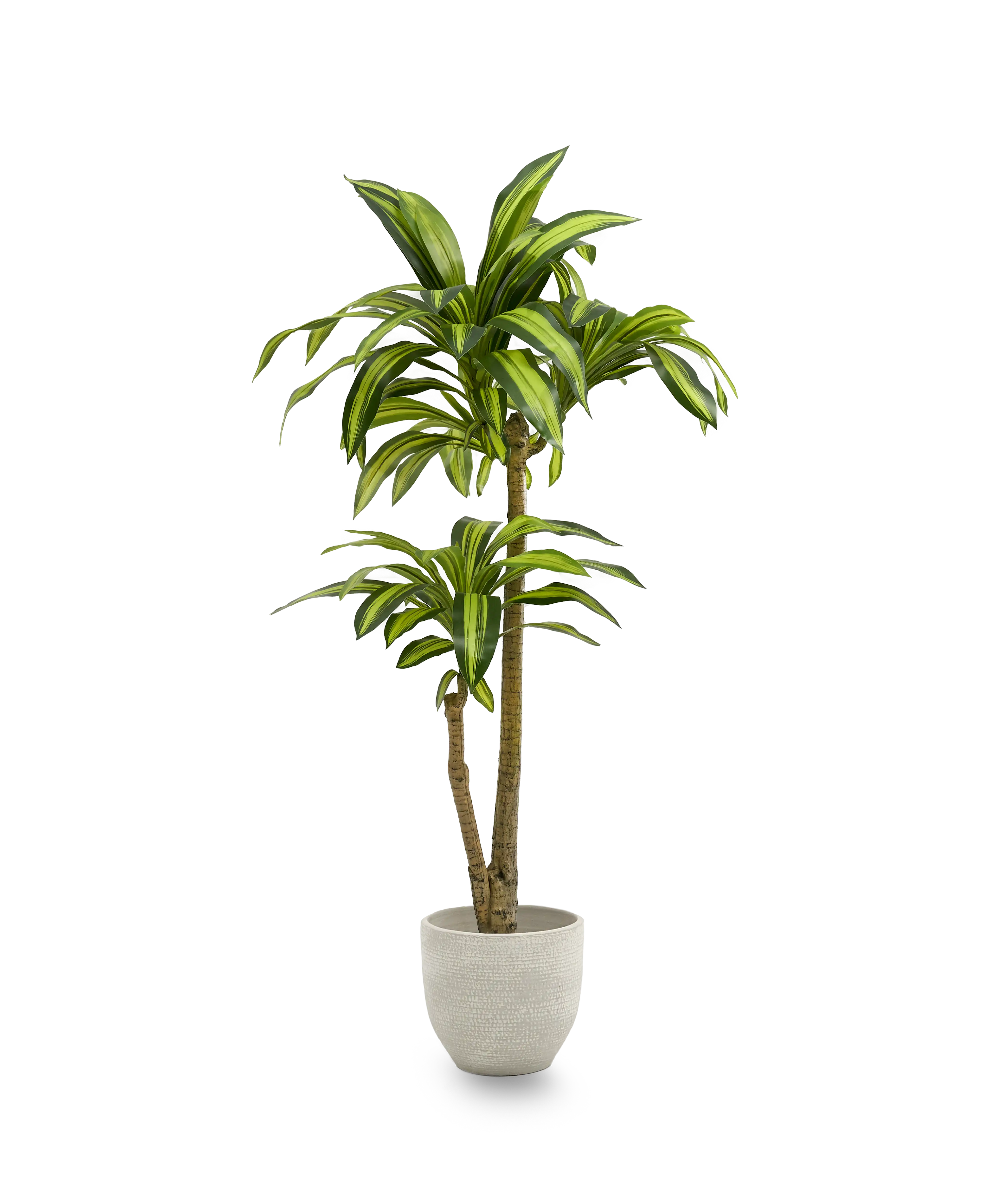 dracena artificial 105 maia shop
