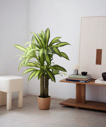 dracena artificial 120