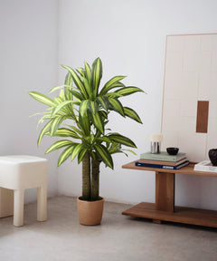 dracena artificial 120
