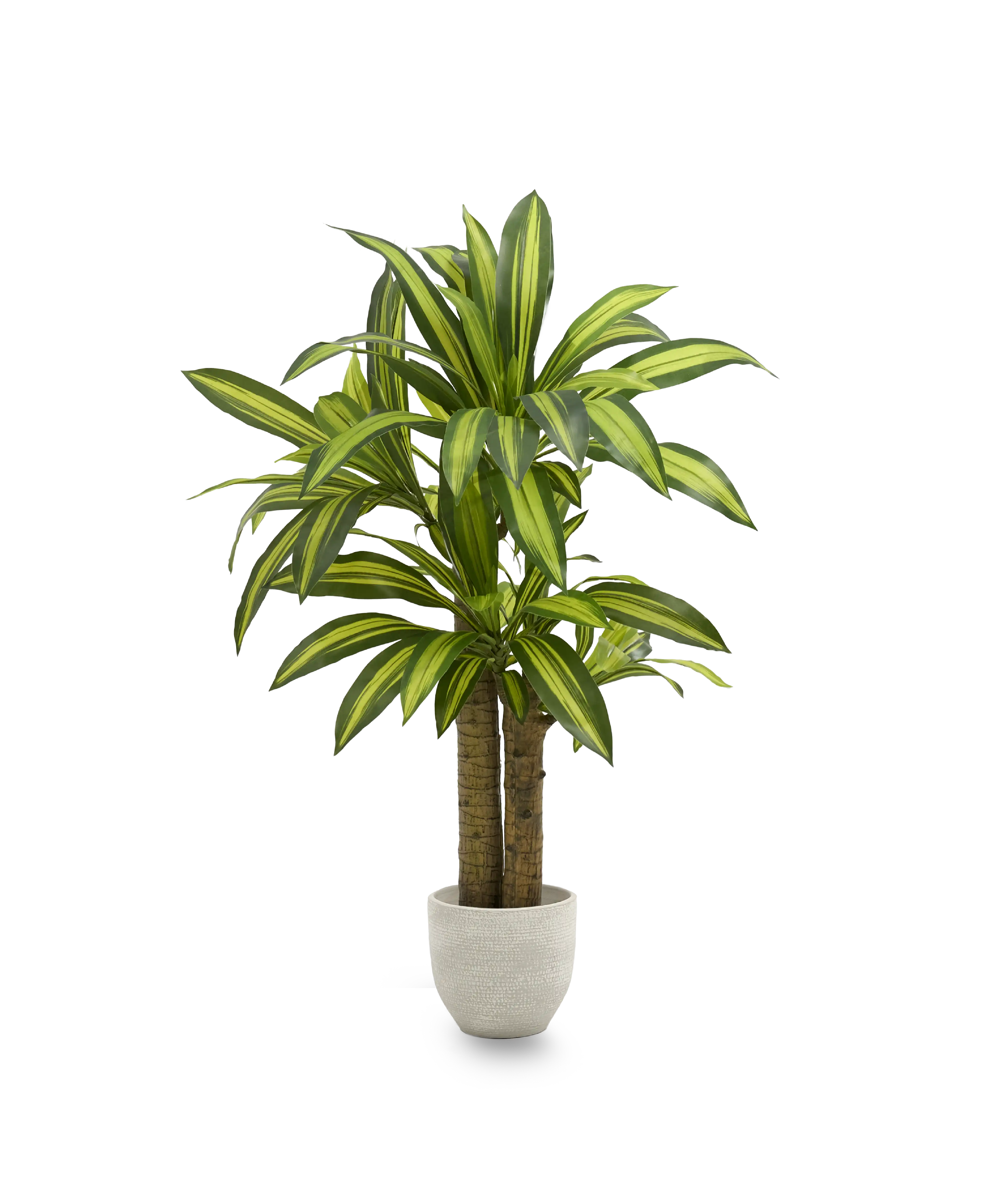 dracena artificial 120 maia shop