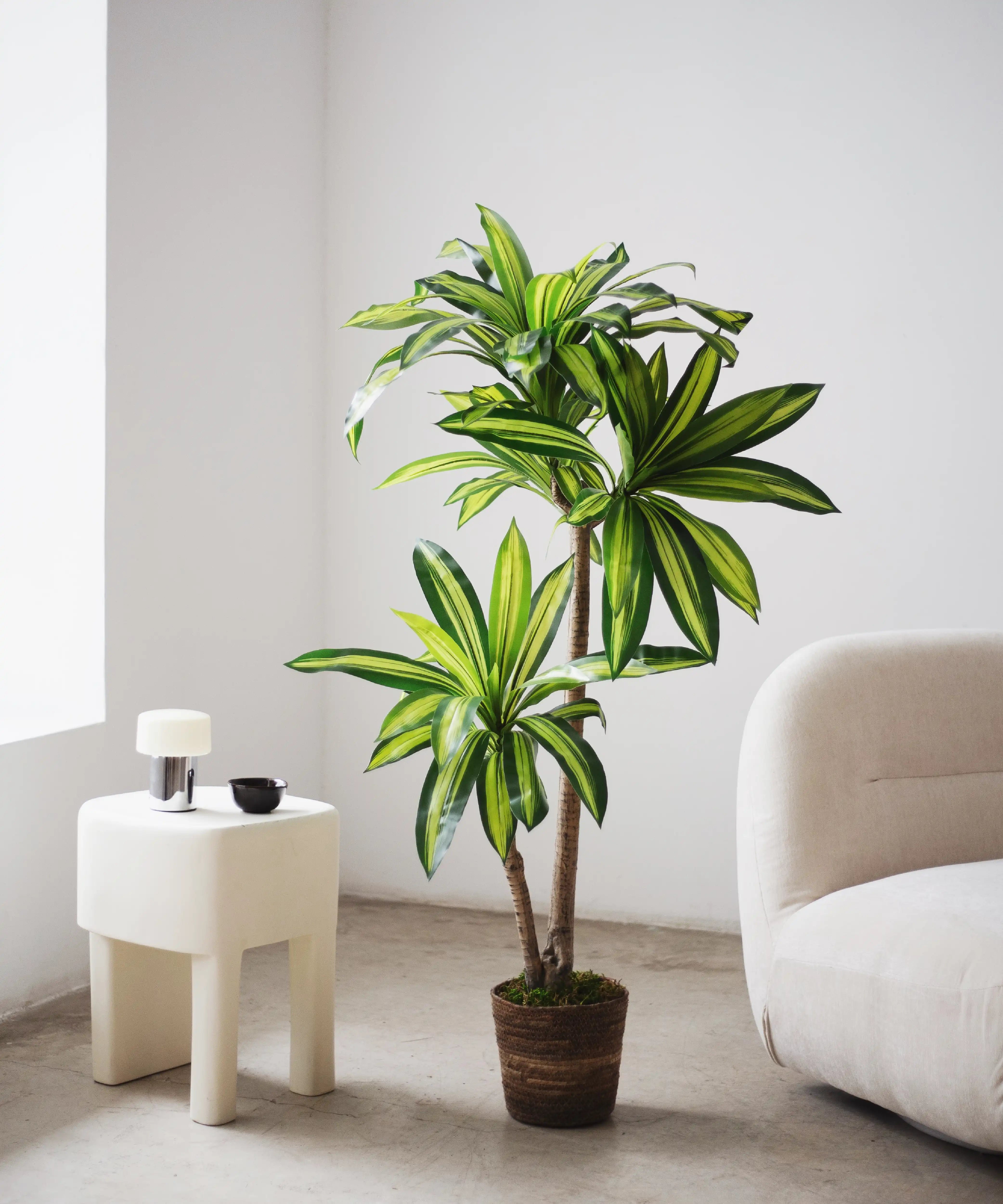 dracena artificial 130