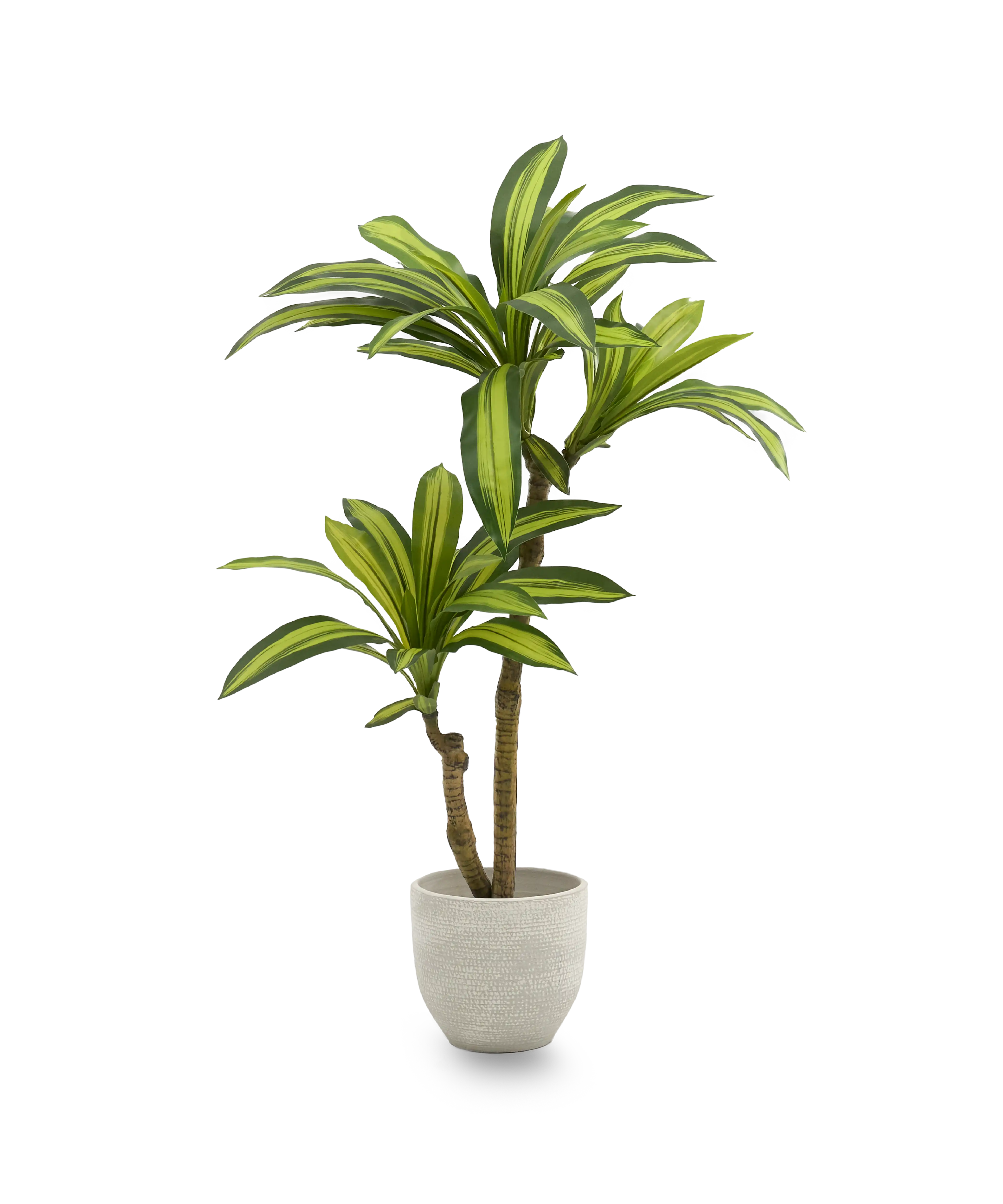 dracena artificial 130 maia shop