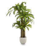 dracena artificial 150 maia shop
