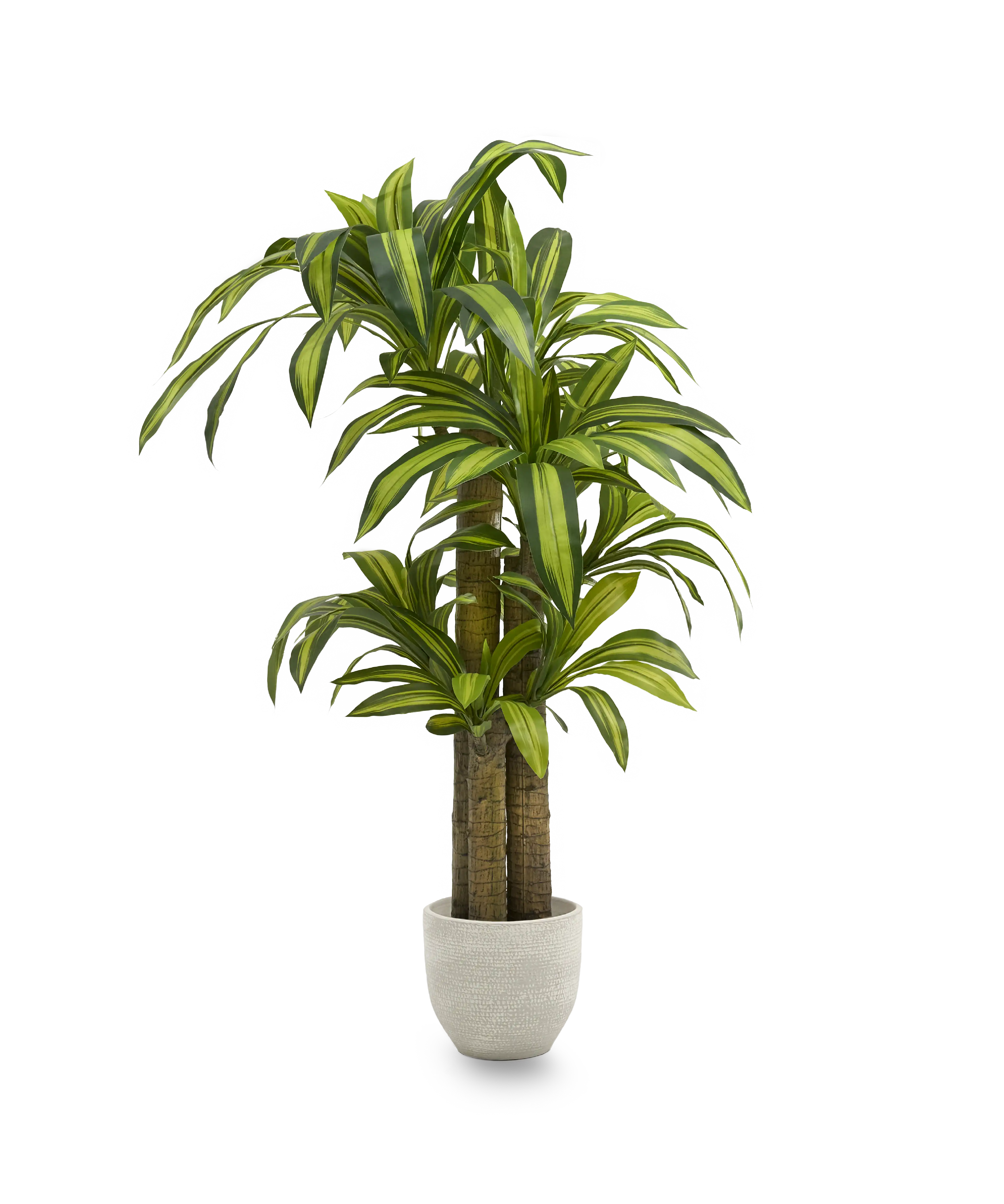 dracena artificial 150 maia shop