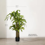 dracena artificial 150 medidas