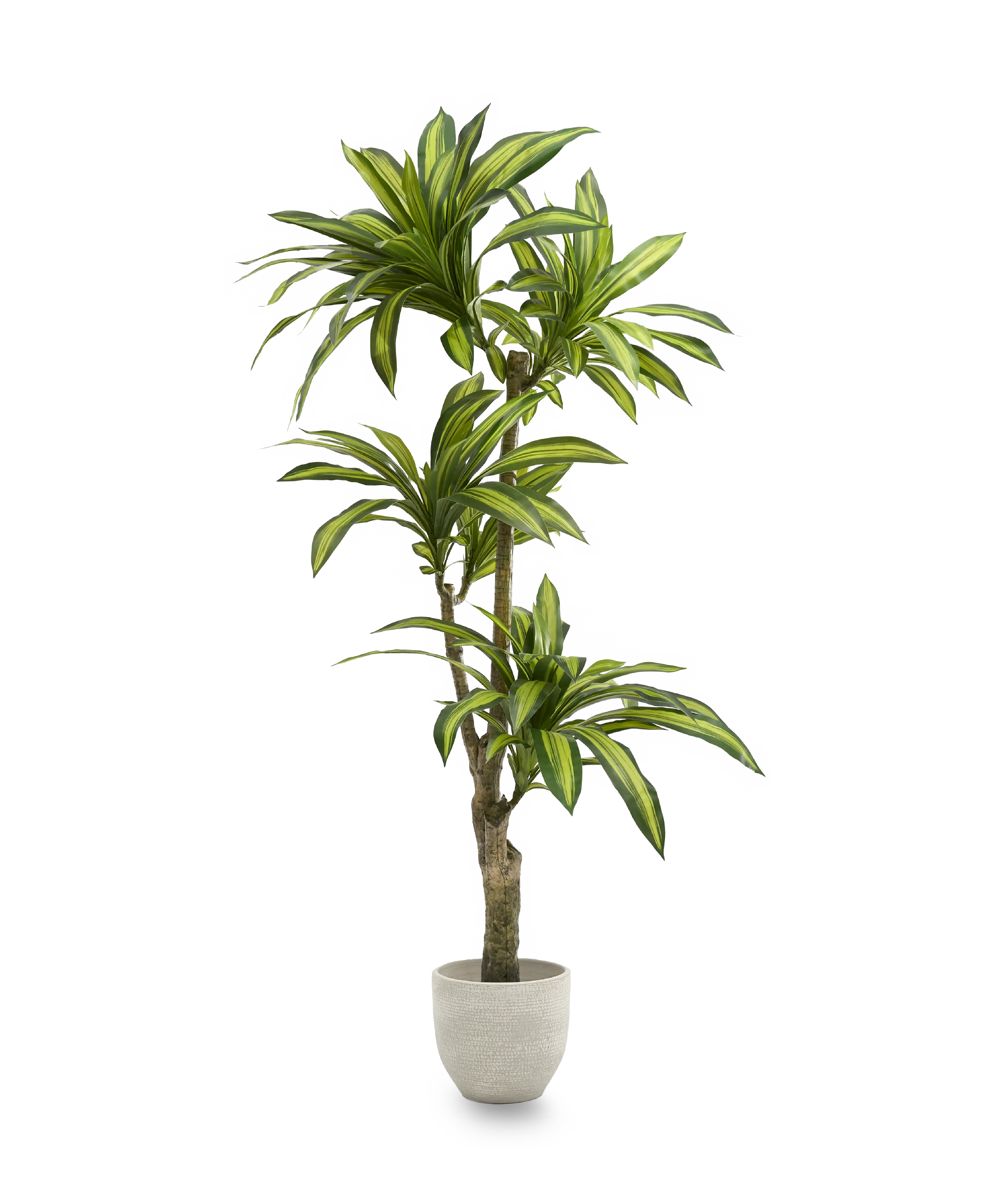 dracena artificial 170 maia shop