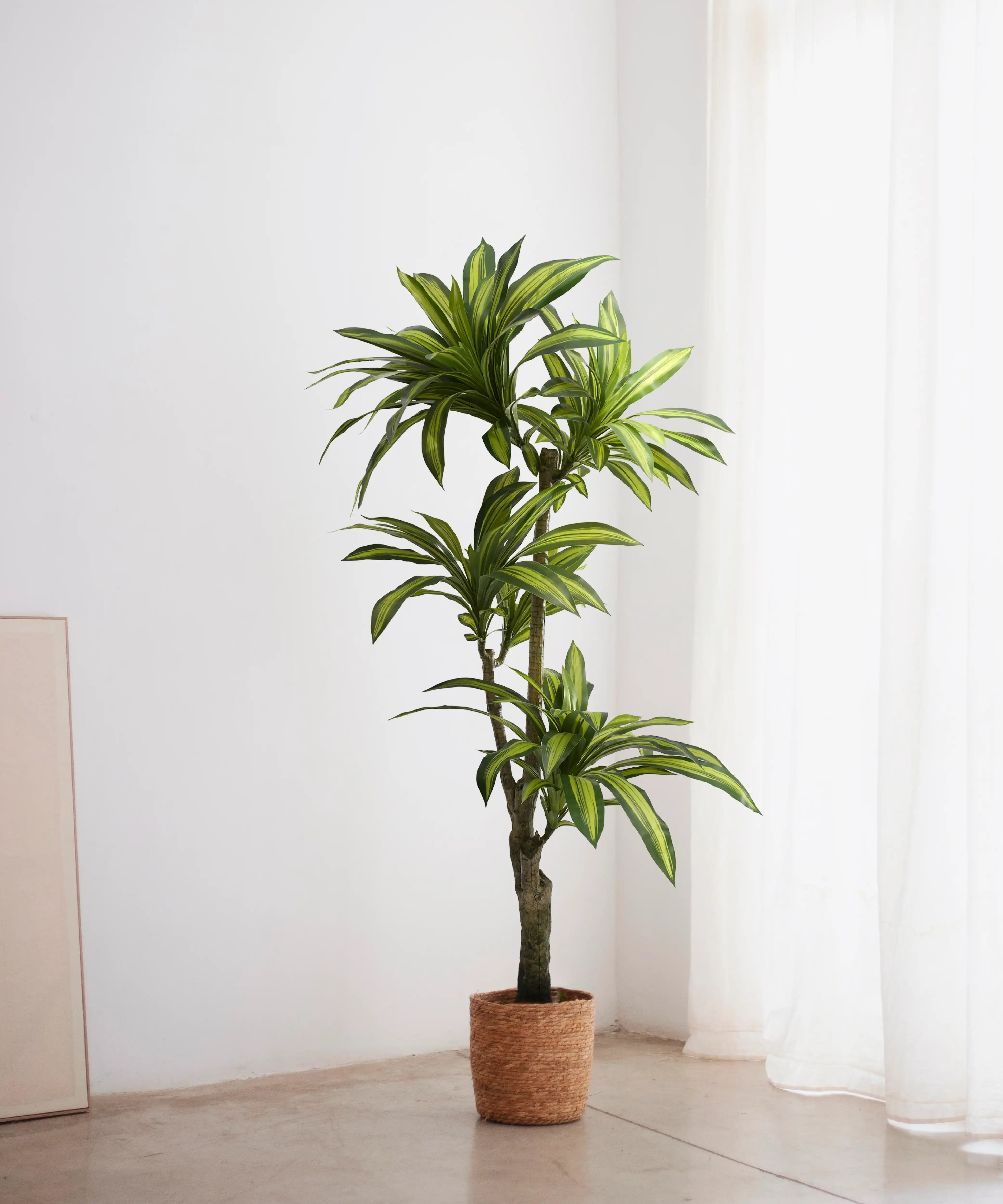 dracena artificial grande decoracion