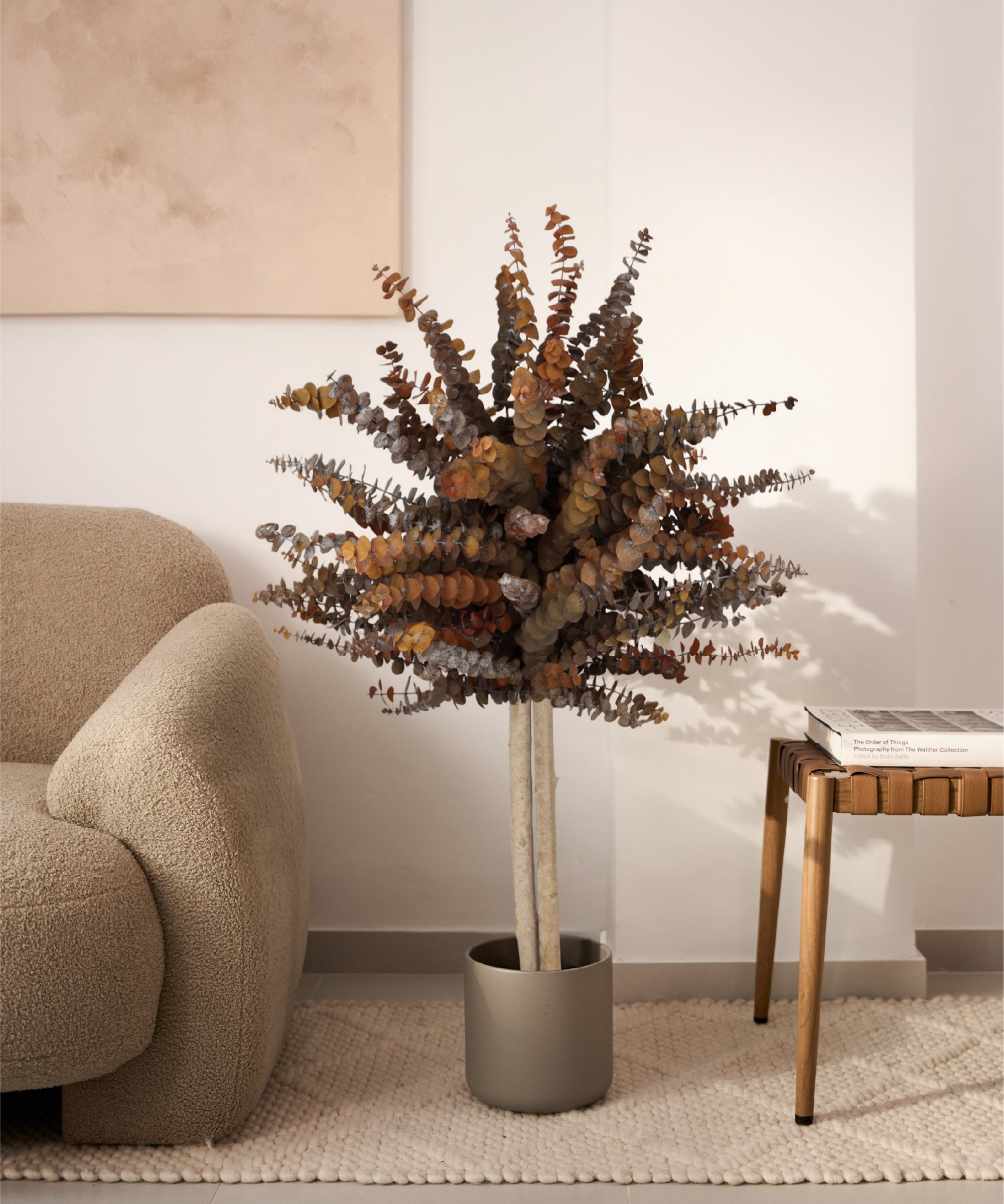 eucalipto preservado baby 100 cm MAIA SHOP Ocre