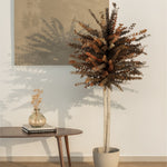 eucalipto preservado baby 150 cm MAIA SHOP Ocre