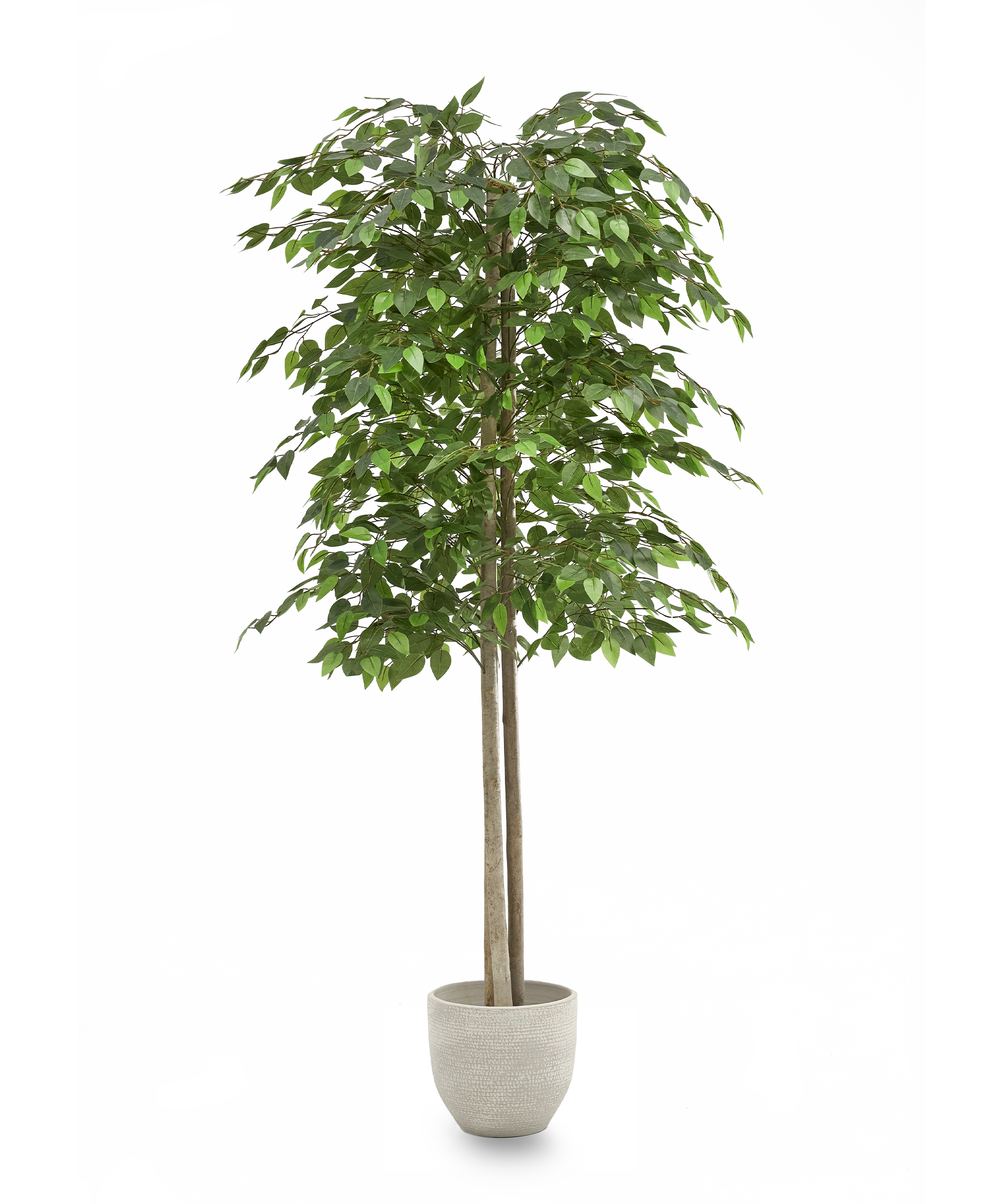 ficus artificial 180 maia shop