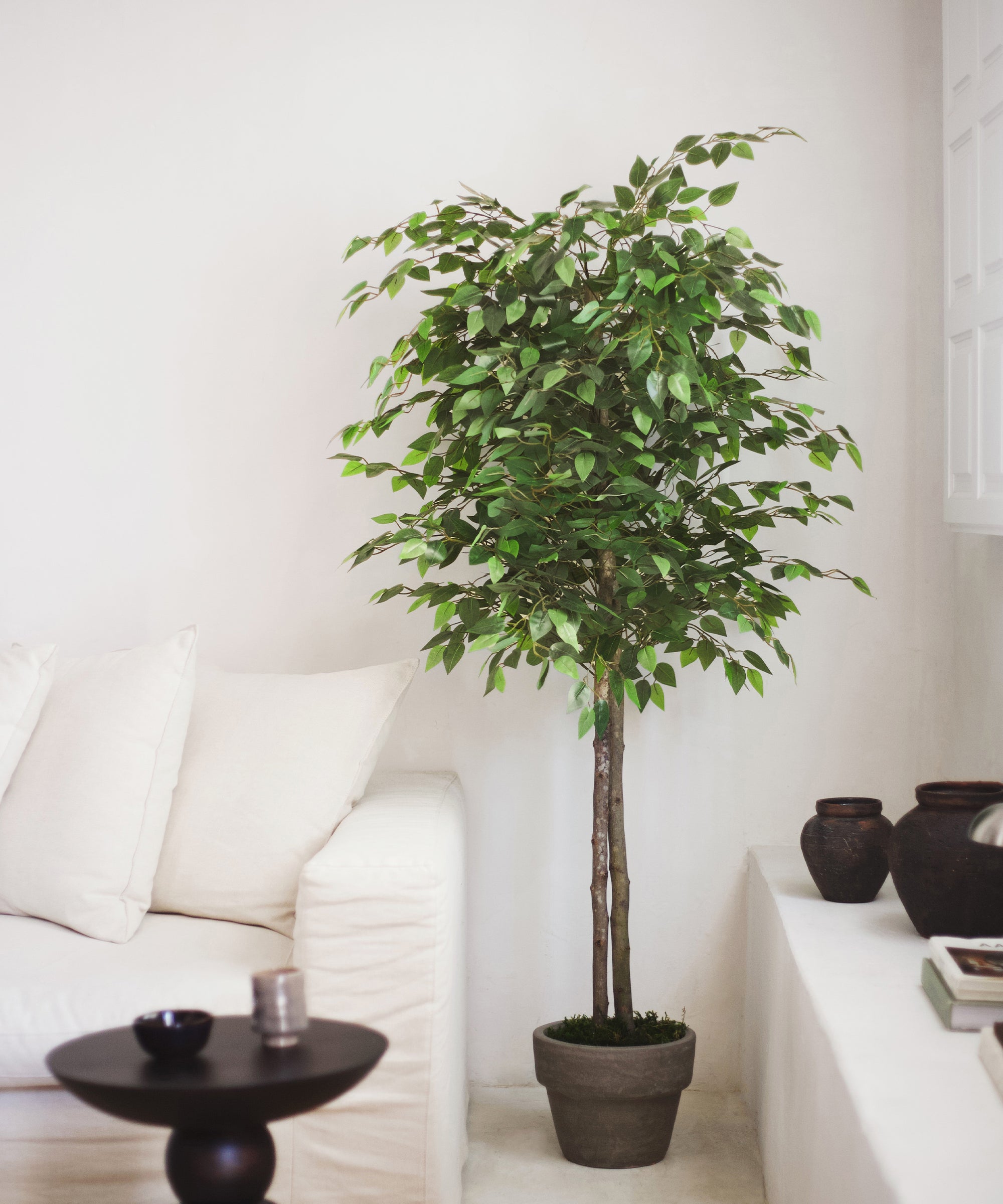 ficus artificial 180 maiashop