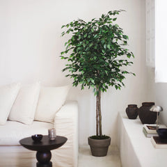 ficus_artificial_180cm