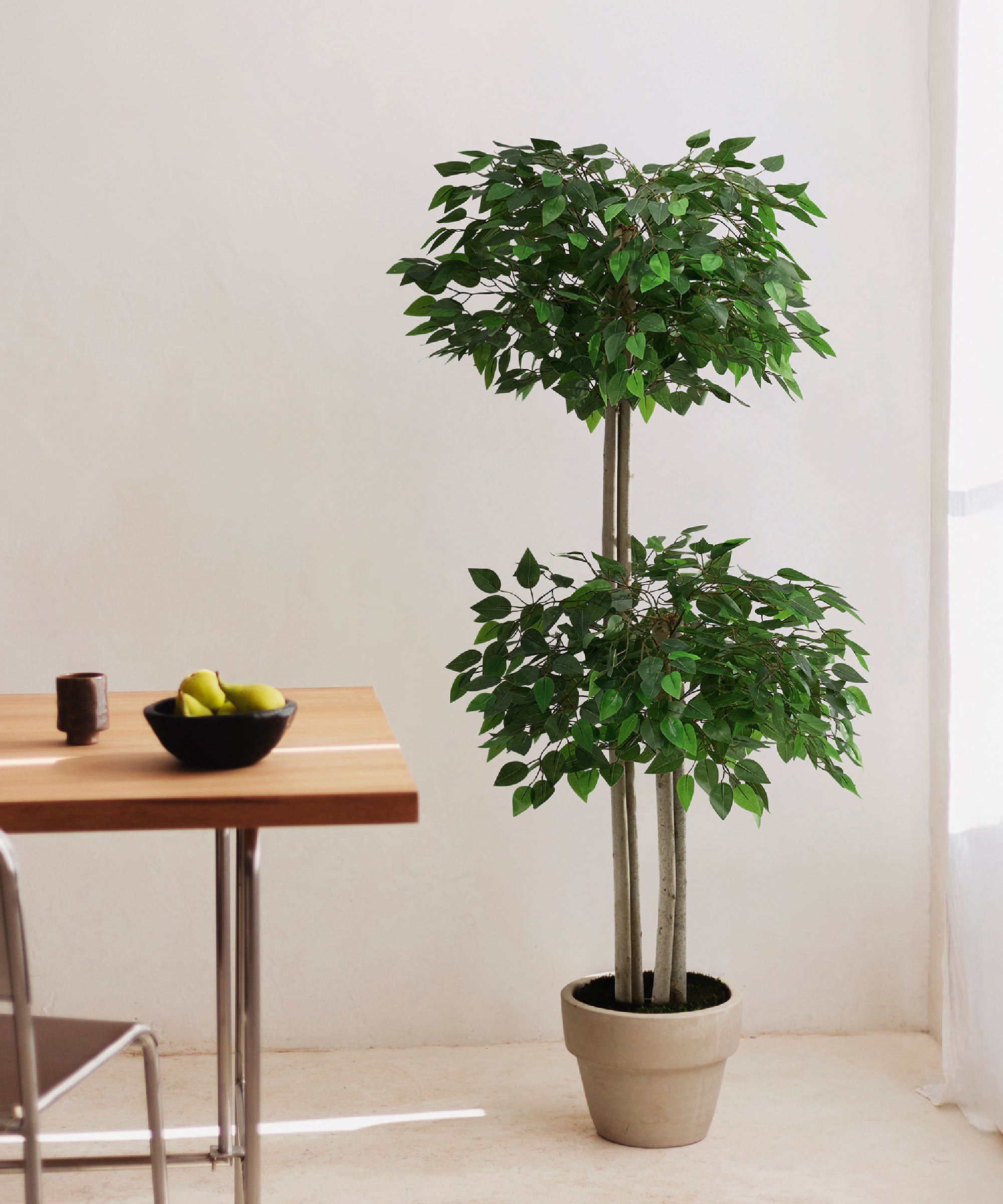 ficus artificial 2 copas