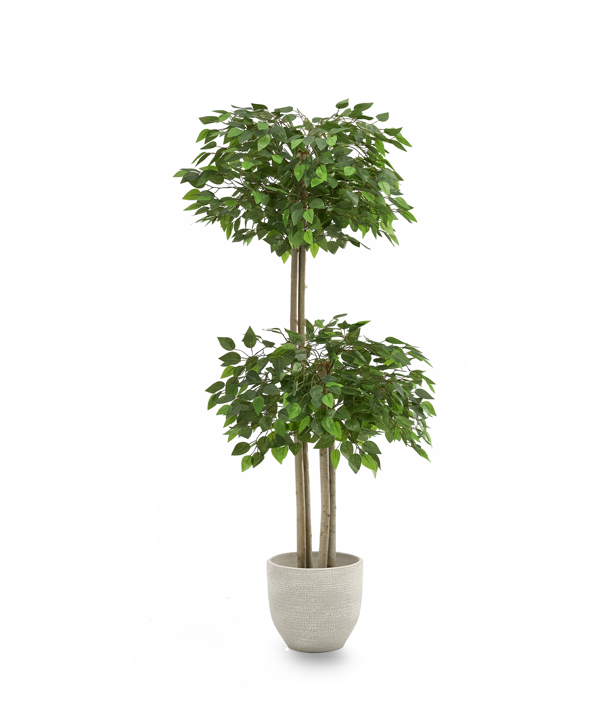 ficus artificial 2 copas maia shop