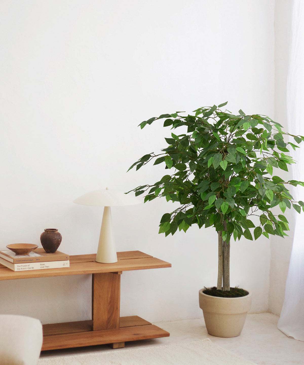 Ficus Artificial en MAIASHOP