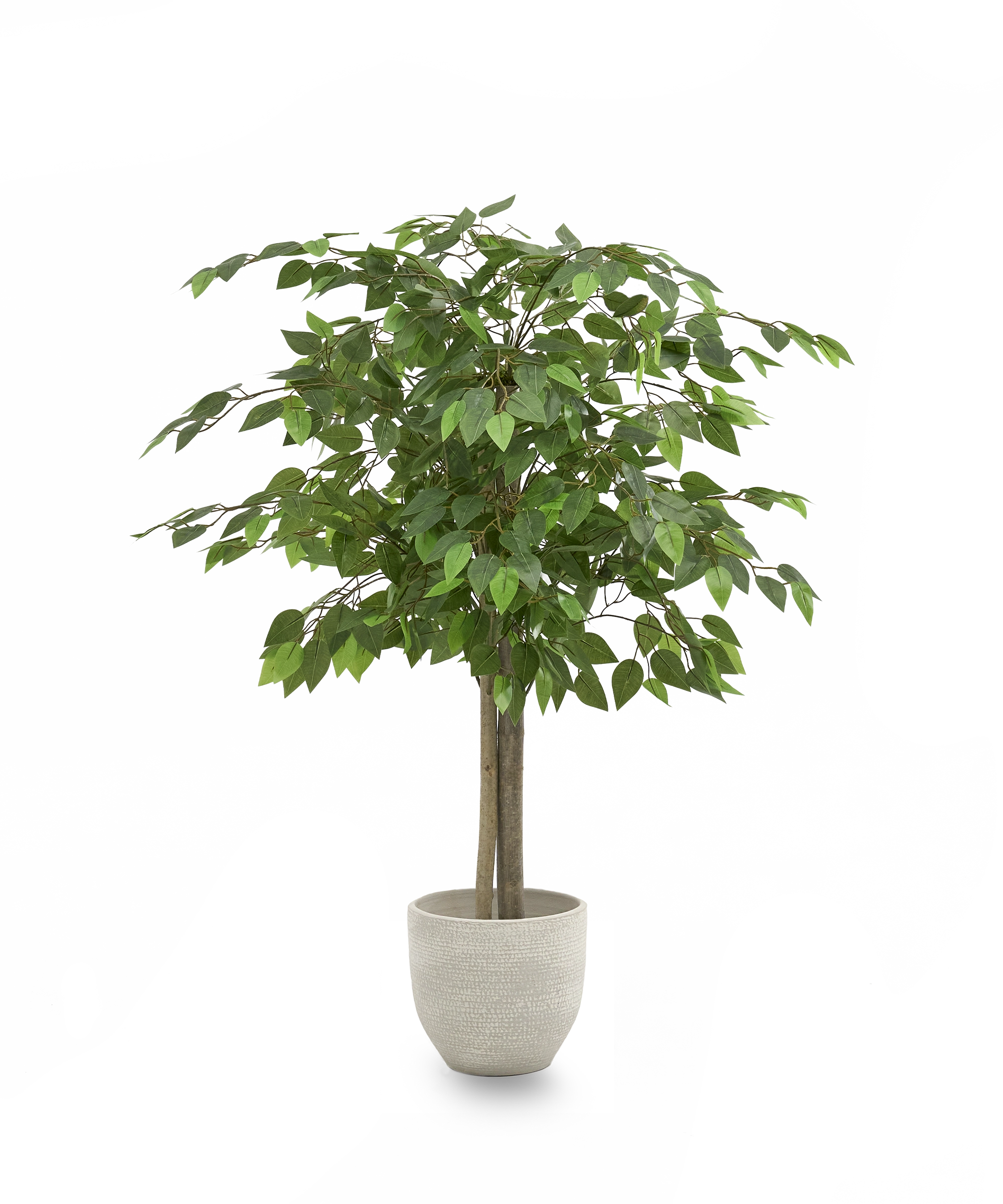 ficus artificial pequeño maia shop