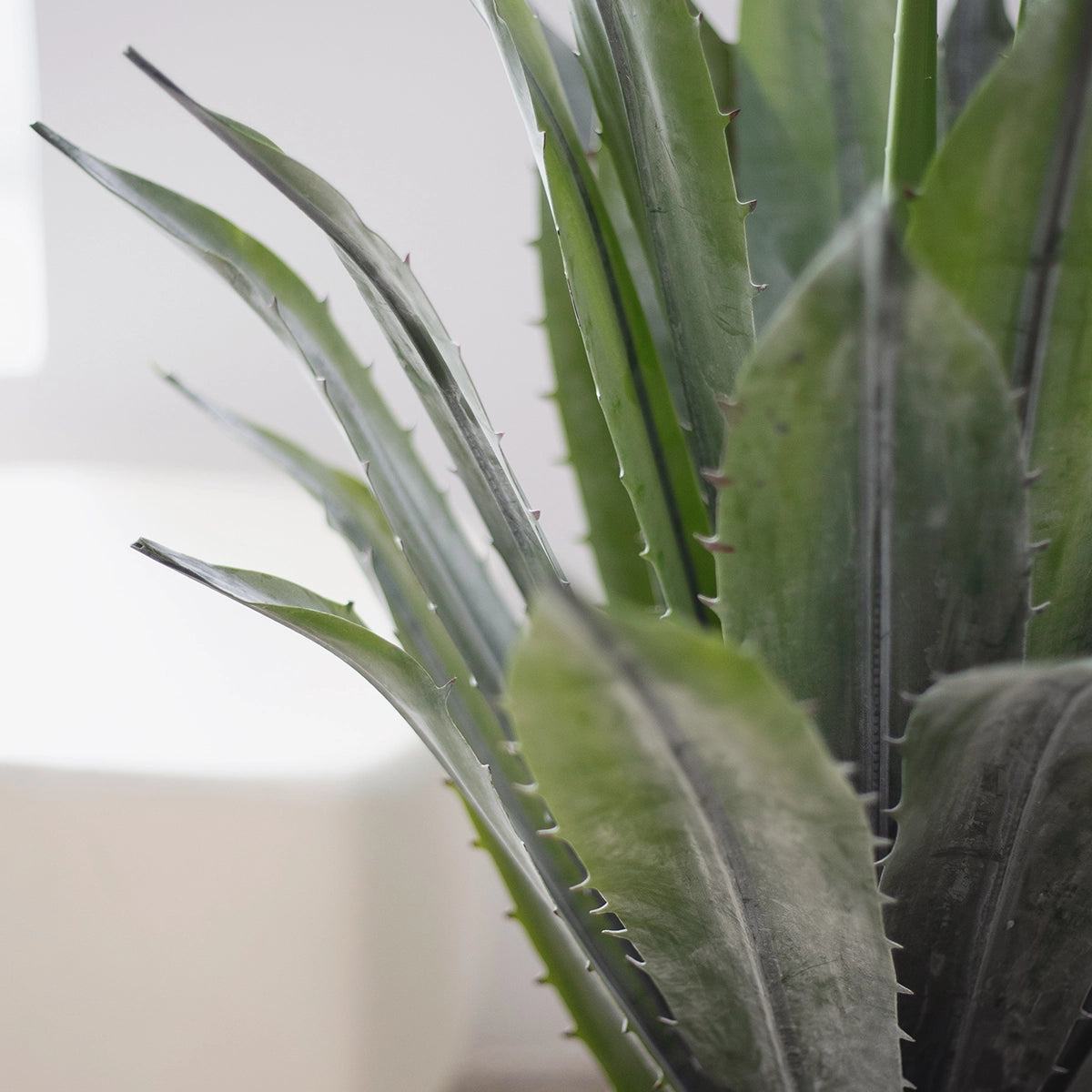 hojas agave artificial
