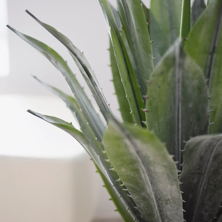 hojas agave artificial
