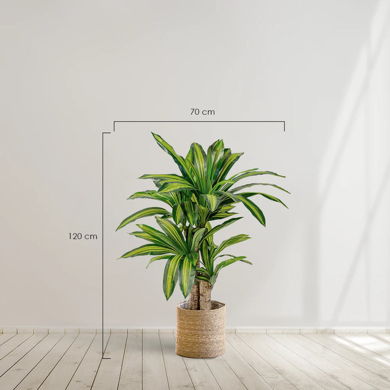 dracena artificial maiashop